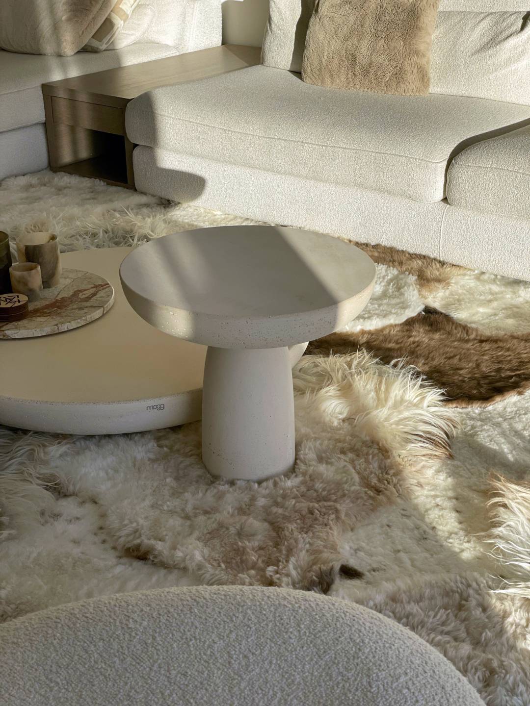 IMG-20250917-WA0014 (Groot)