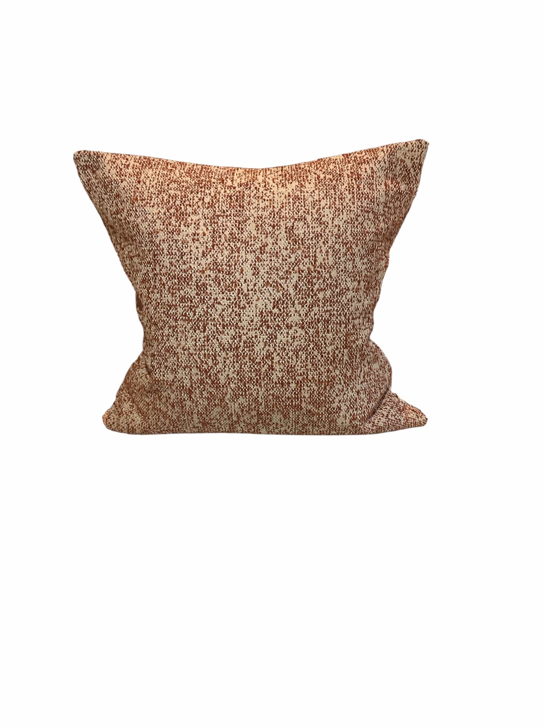 Photoroom_20260220_111021